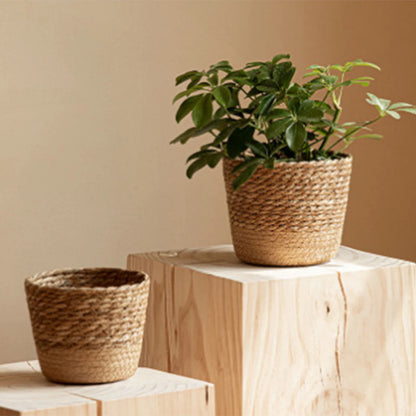 Woven Flower Plant Display Baskets | Kitchen, Sunroom, Living Room, Garden, Bedroom Essentials