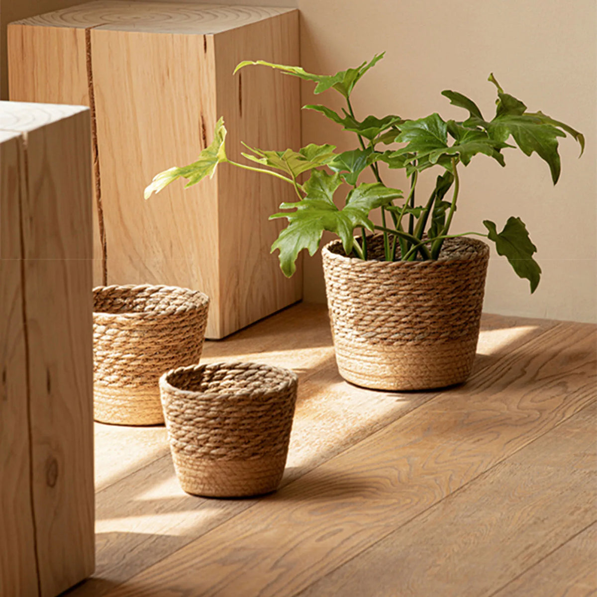 Woven Flower Plant Display Baskets | Kitchen, Sunroom, Living Room, Garden, Bedroom Essentials