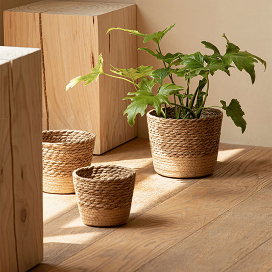Woven Flower Plant Display Baskets | Kitchen, Sunroom, Living Room, Garden, Bedroom Essentials